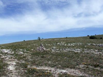 Прикрепленное изображение: DSCF8444.jpg